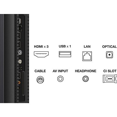 55C809 QLED MINI-LED ULTRA HD LCD TV TCL